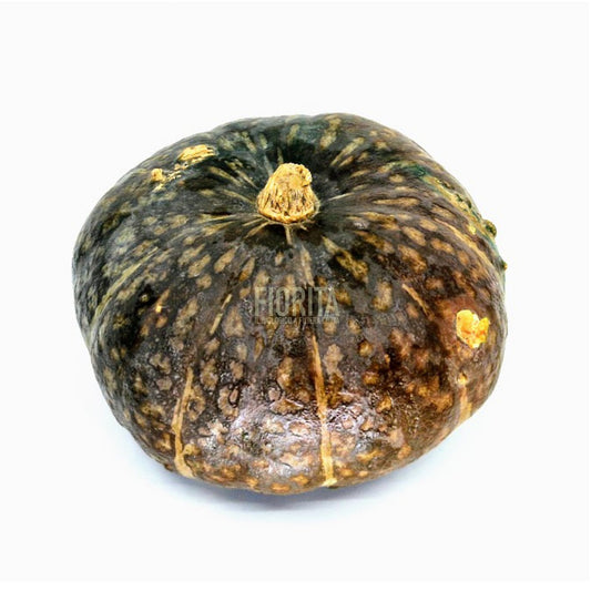 Bio Zucca Delica 1.2kg/pz