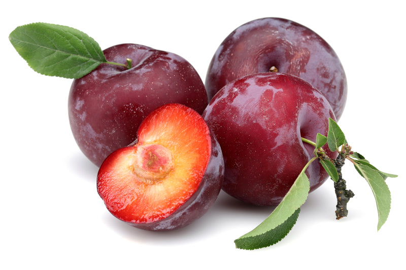 Bio Susine Sangue di drago 350g