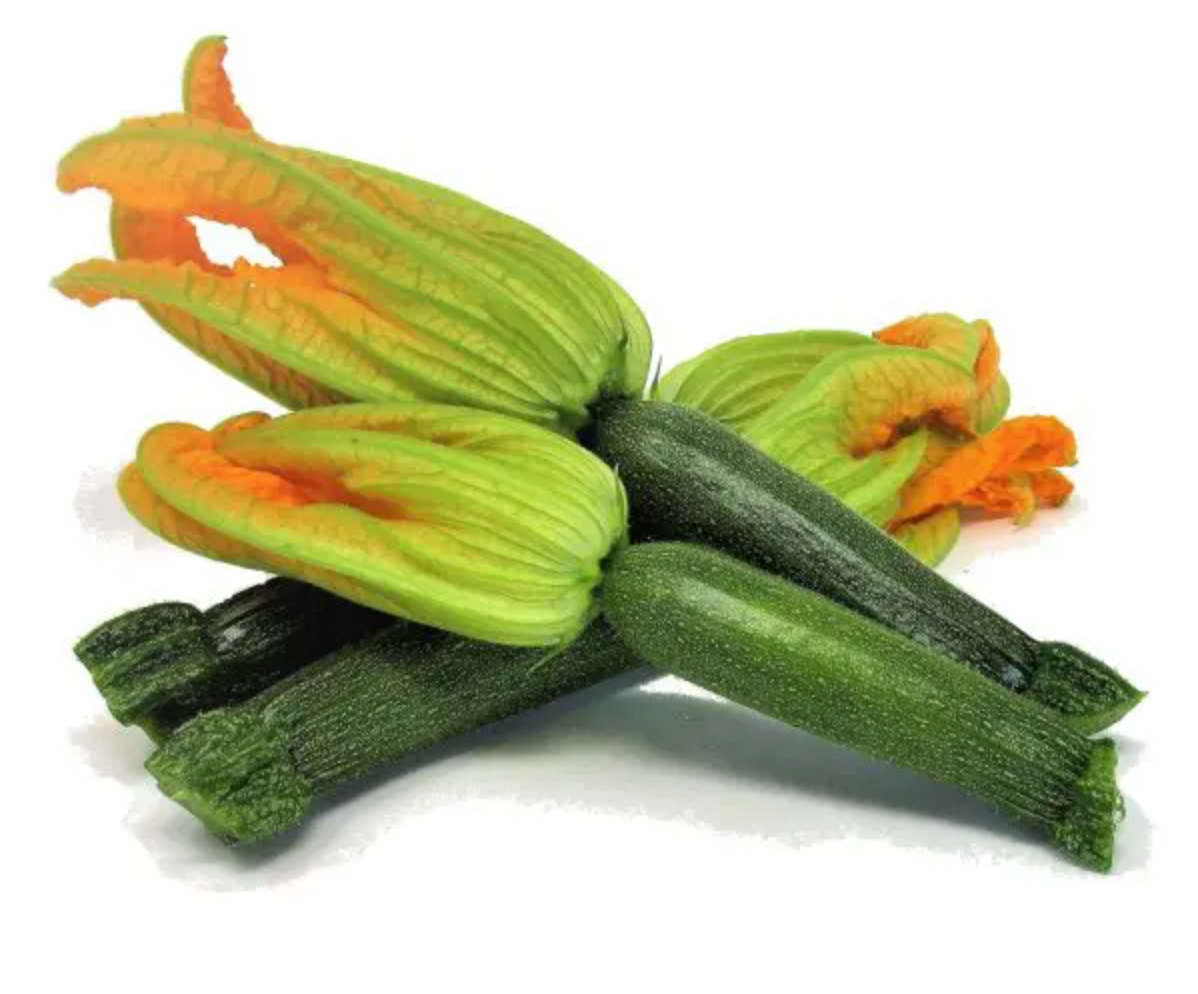 Bio Zucchina con fiore/pz