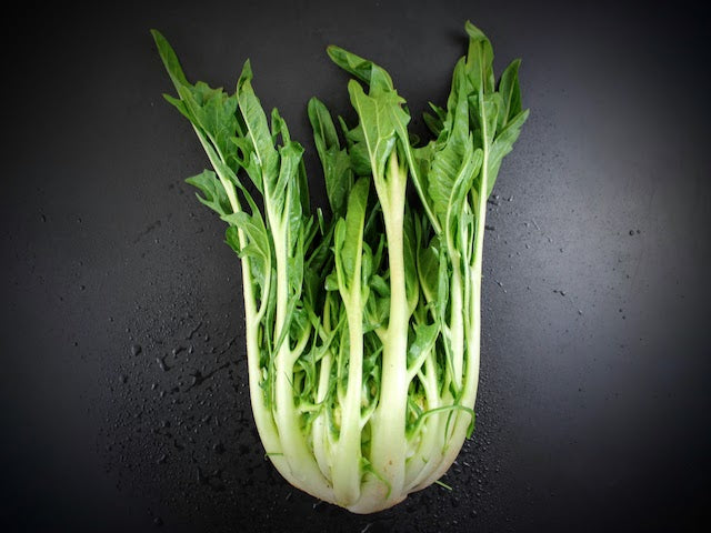Bio Cicoria puntarelle 600g
